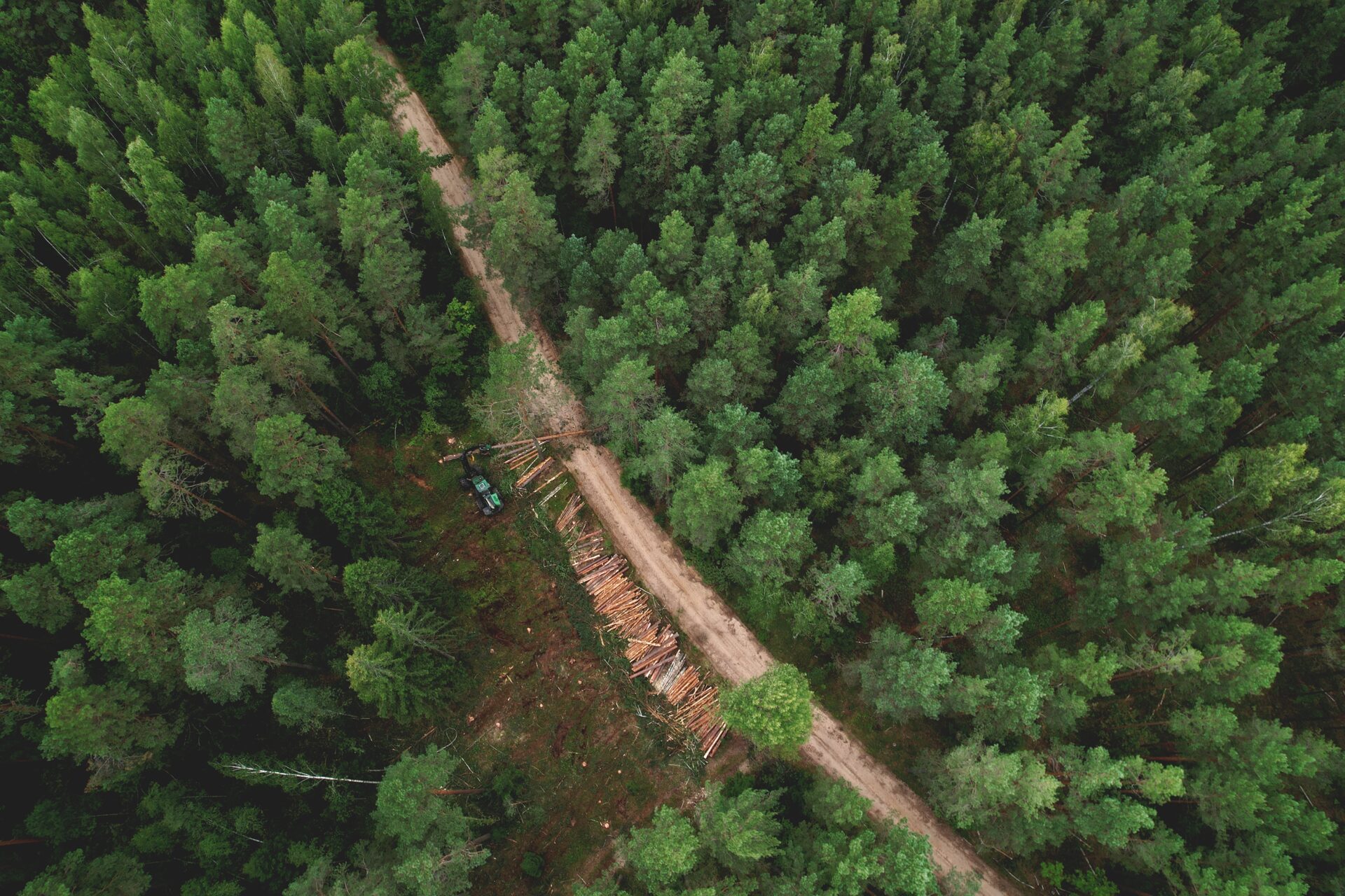 Holzbau schützt Wälder